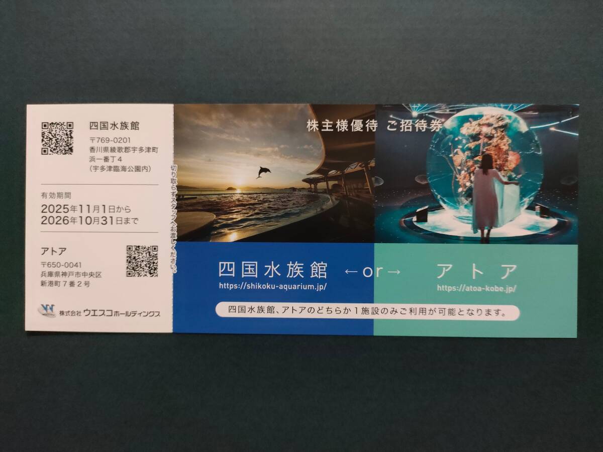 ウエスコ株主優待 四国水族館orアトア 招待券 1枚2025年11月1日から 2026年10月31日まで有効拍卖