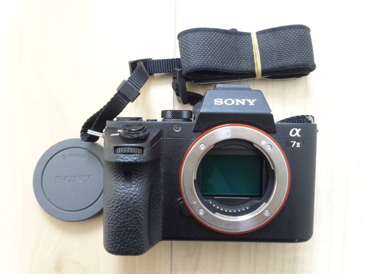 (動作未確認) ソニー SONY ILCE-7M2 α7 II ボディ アルファ ミラーレス一眼 デジタルカメラ ストラップ付き拍卖