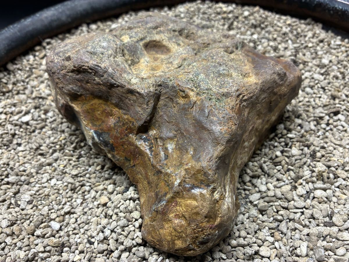 S103 碧玉 ジャスパー 赤 黄 茶 多色 2kg 石英 玉髄 医王山 原石 鑑賞石 水石 自然石 天然石 小矢部川 富山拍卖