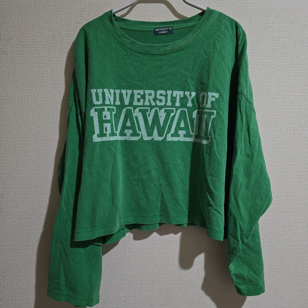 人気希少レア ジャーナルスタンダード購入 カレッジロゴ ショート丈 カットソー グリーン拍卖