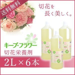 送料無料 キープ・フラワー 切花栄養剤 2L 《6本セット》拍卖