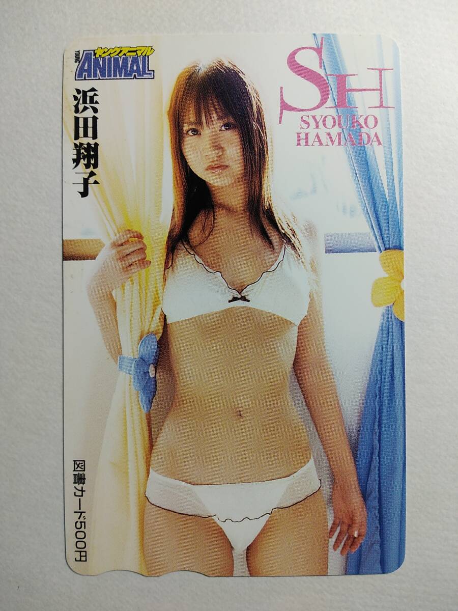 ★★★★★ハロウィンセール2★★★★★抽プレ・当選品/ヤングアニマル/浜田翔子/図書カード拍卖