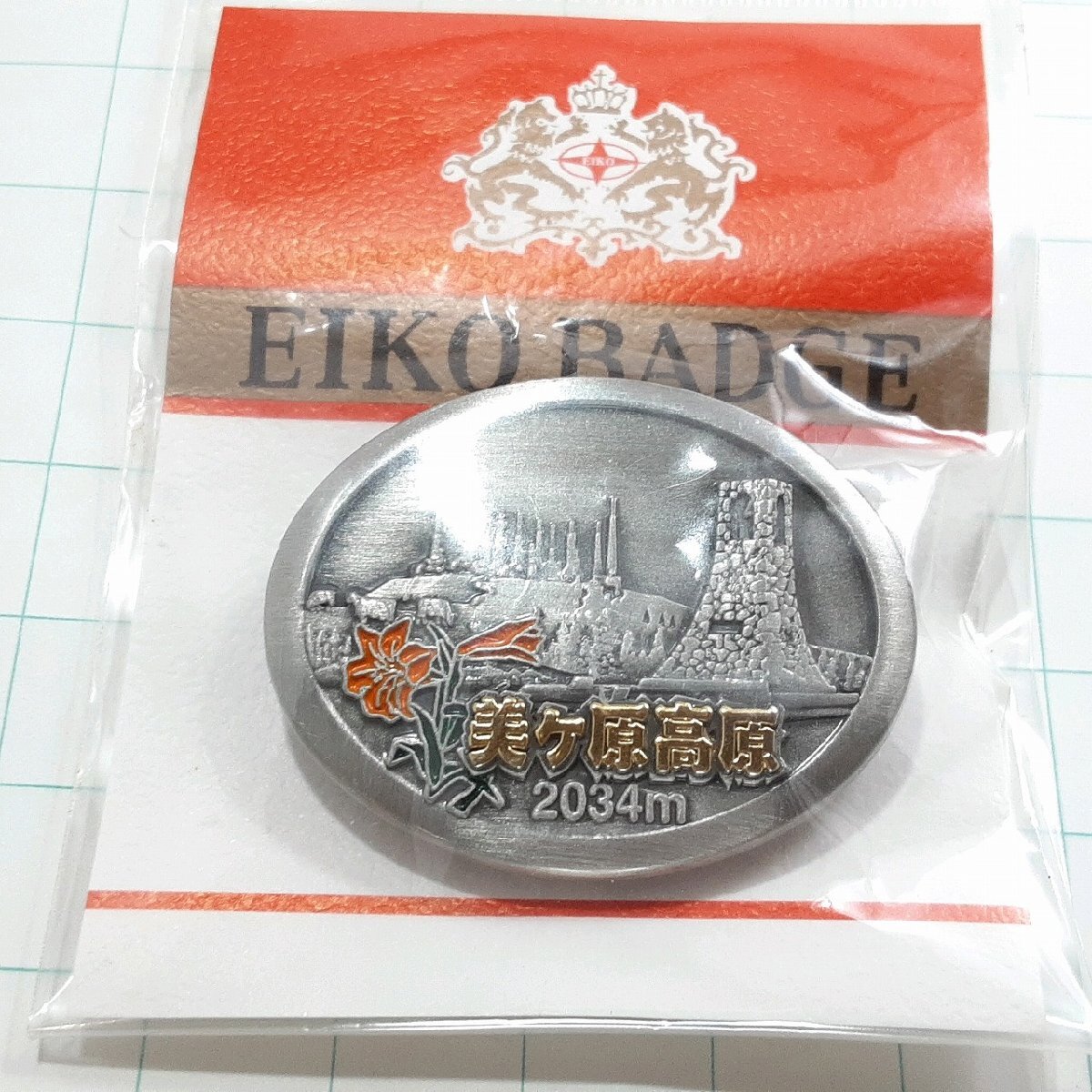送料無料)未使用 美ヶ原高原 観光 旅行 登山 記念 山バッジ ピンバッジ PINS ピンズ A32751拍卖