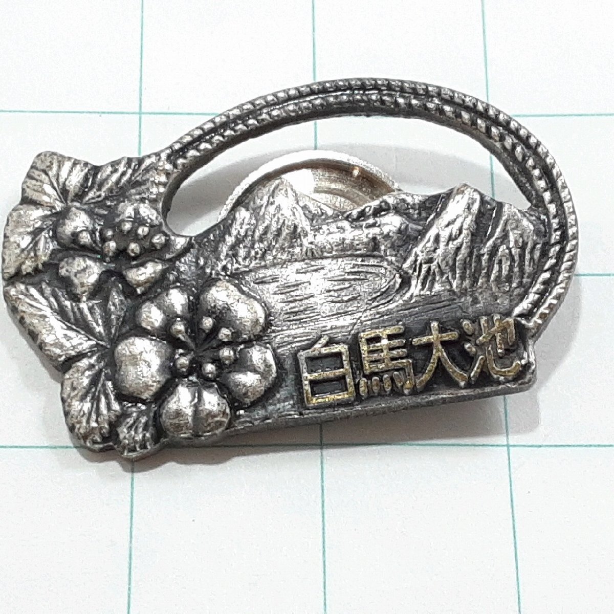 送料無料)白馬大池 観光 旅行 登山 記念 山バッジ ピンバッジ PINS ピンズ A32729拍卖