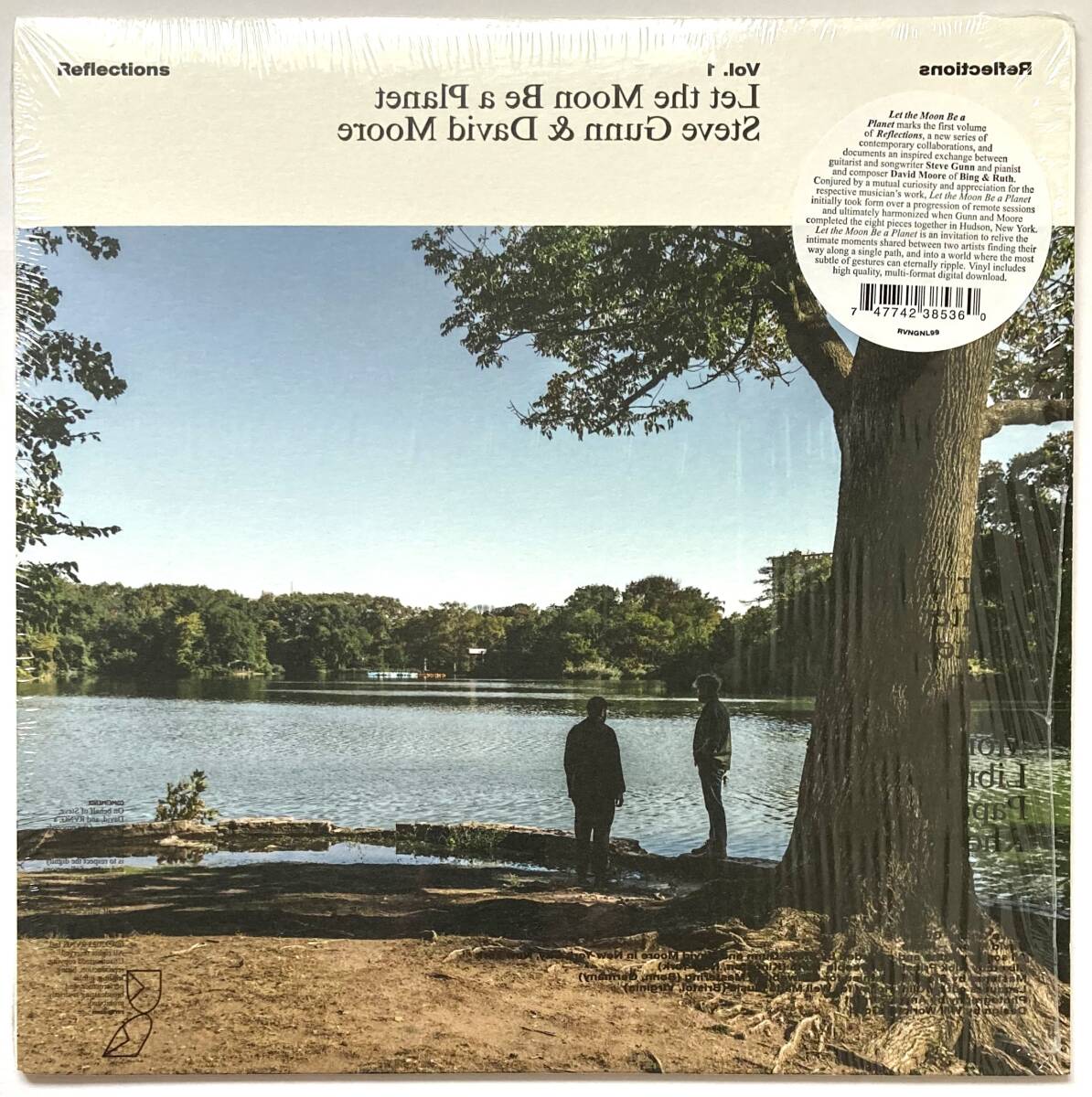 アンビエント・フォーク【LP】Steve Gunn & David Moore / Reflections Vol. 1: Let The Moon Be A Planet ■DJ CMT, やけのはら 推薦盤!!拍卖