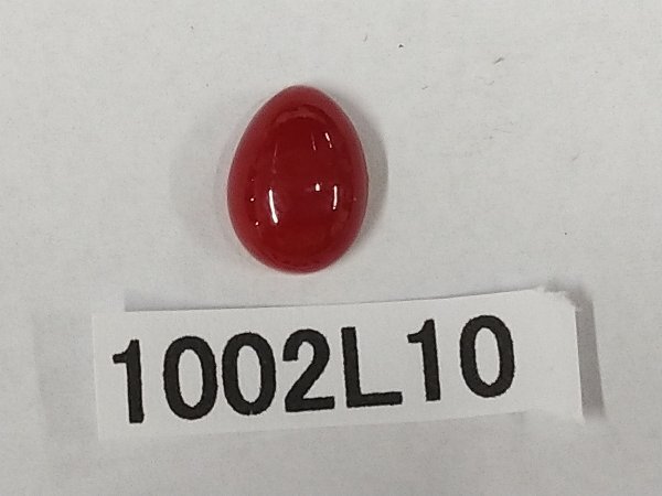 1002L10 本珊瑚 サンゴ 裸石 約0.5g拍卖