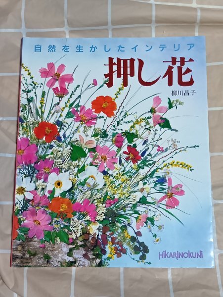 押し花-自然を生かしたインテリア 柳川昌子/ひかりのくに/1998年拍卖