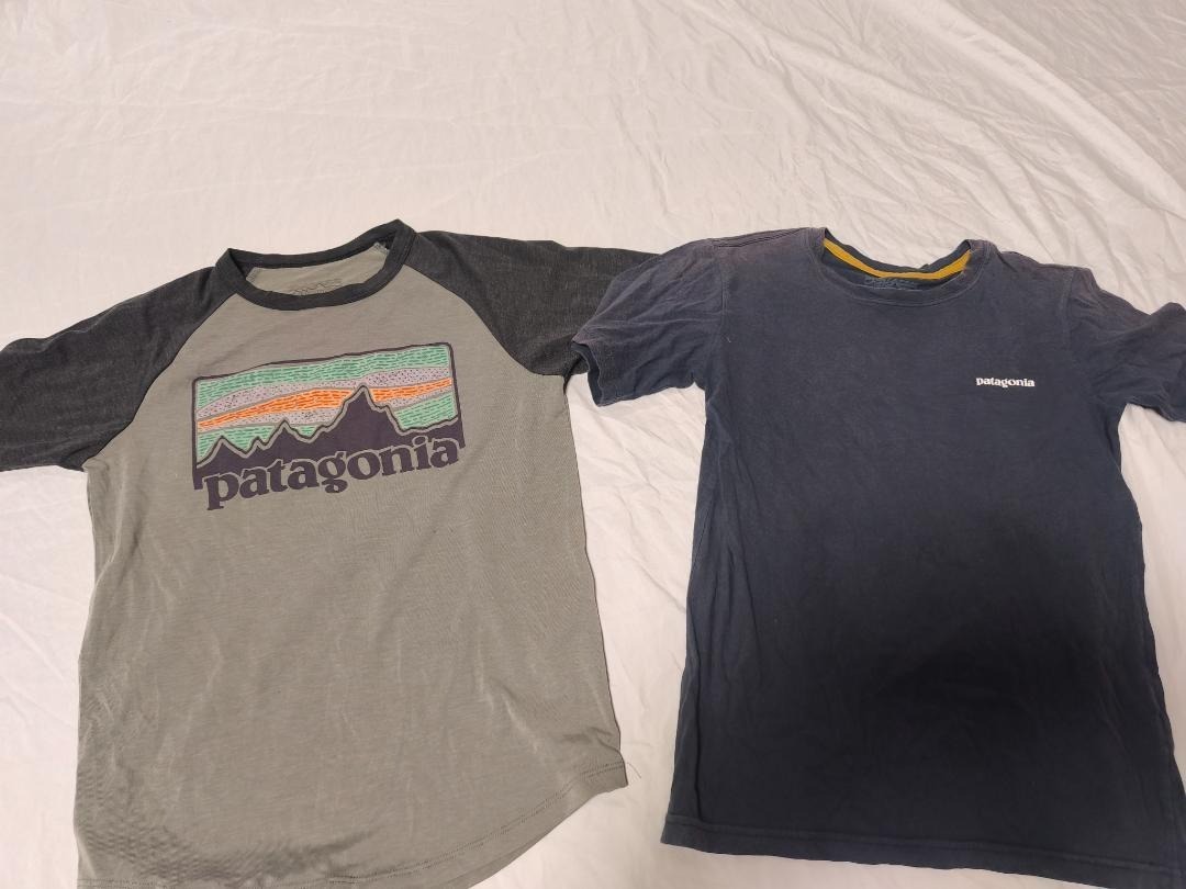 Patagonia Tシャツ 2枚セット キッズ 130拍卖