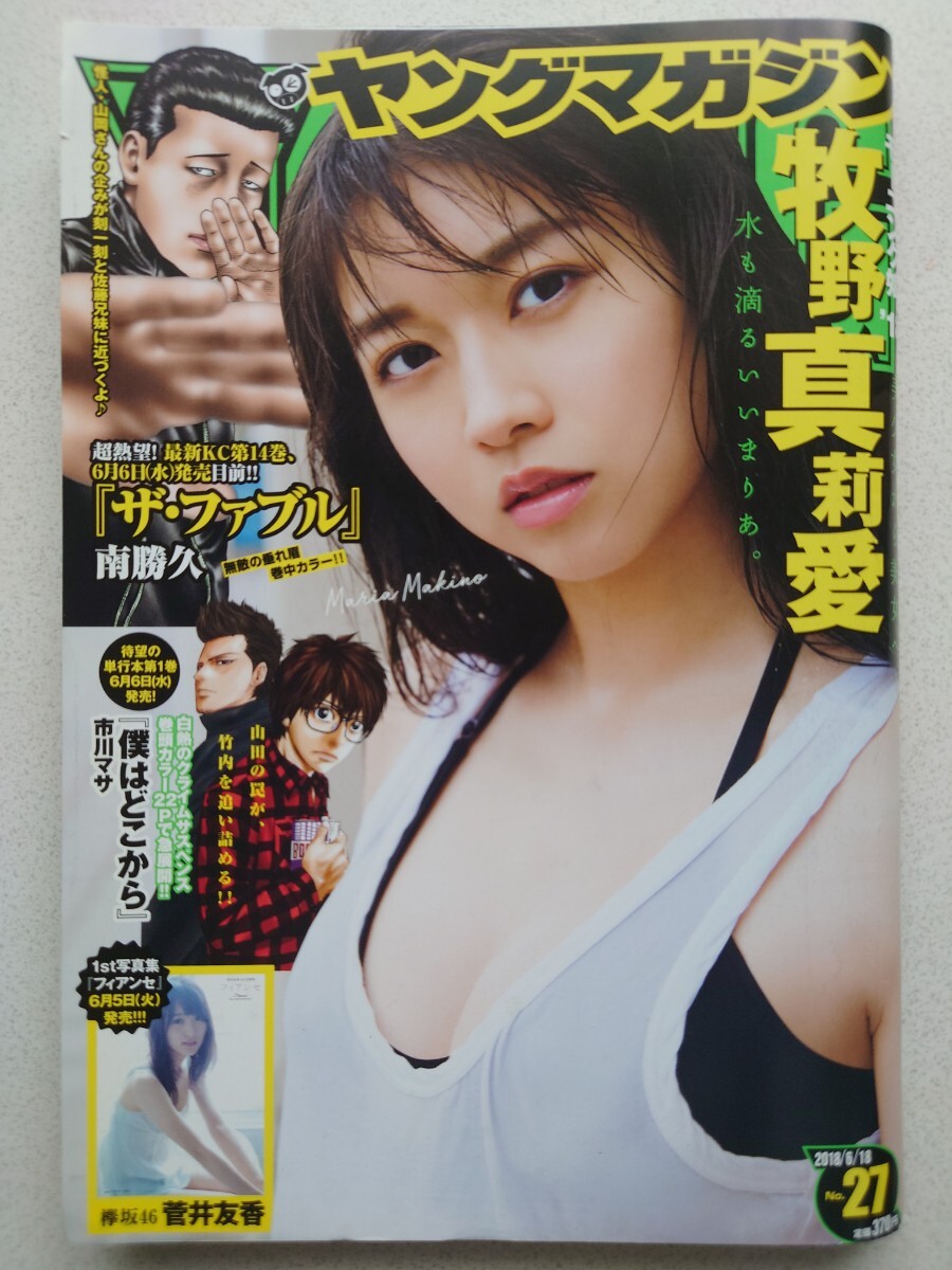 【良品】ヤングマガジン 2018年 No.27 牧野真莉愛 モーニング娘。'18 菅井友香 欅坂46 『(巻頭カラー)僕はどこから』 彼岸島 ~送料185円~拍卖