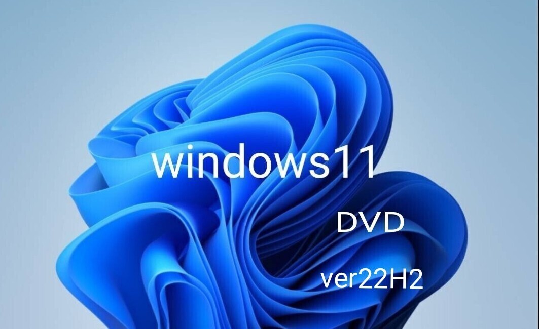 Windows11(22H2)条件回避/アップグレード   クリーンインストール 両対応 ディスク (2025102601)拍卖