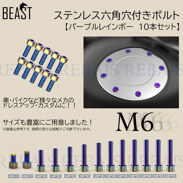 送料無料 ステンレス 六角穴 ボルト M6 10本セット 【M6×16】 レインボー拍卖