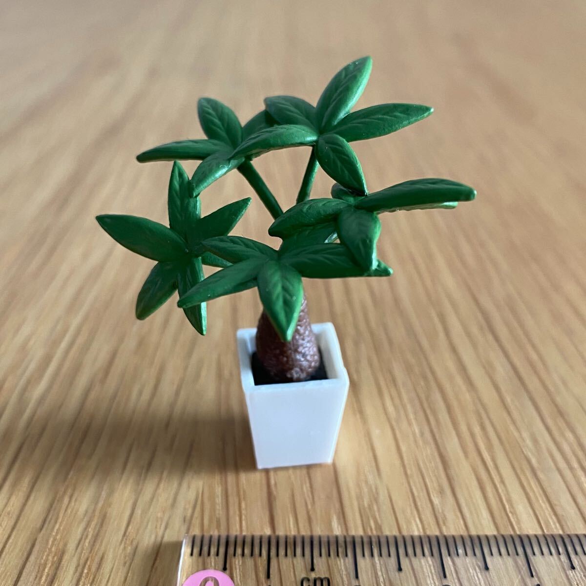 リーメント(単品)*観葉植物*ぷちサンプル バラ売り ミニチュア Re-Ment パキラ 拍卖