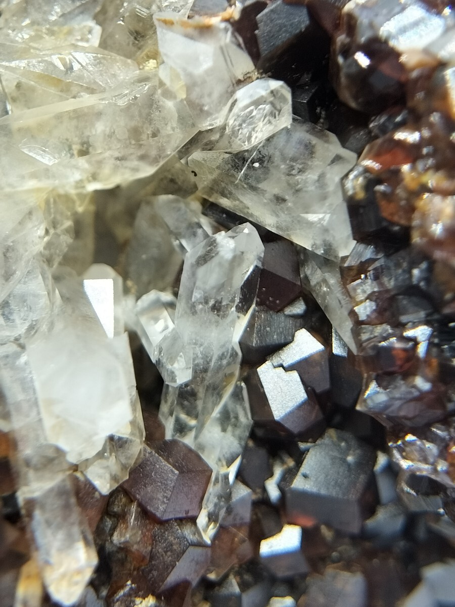 富山県富山市黒岳(水晶) 委託出品7 水晶&灰鉄柘榴石 国産鉱物 鉱物標本拍卖
