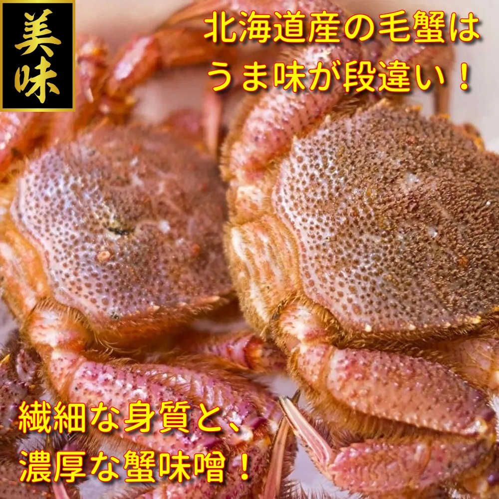 【北海道産】 訳アリ!活毛蟹 (3~4尾・約1kg) ボイル発送可◆ 毛ガニ 毛がに けがに 活 毛蟹 函館 かにみそ 拍卖