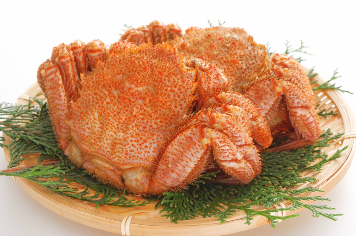 【北海道産】訳アリ毛蟹2尾セット(計約807g) ◆ボイル冷凍◆1月まで保存可能◆旬 蟹味噌 正月 元日拍卖