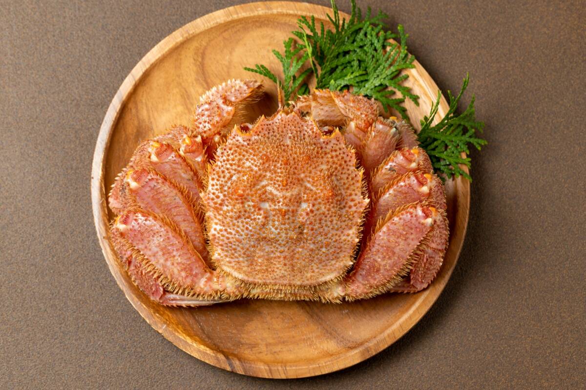 【北海道産】訳あり毛蟹3尾セット(約300g×3尾)★正月まで保存可★毛ガニ 毛がに けがに 毛蟹 函館 かにみそ拍卖