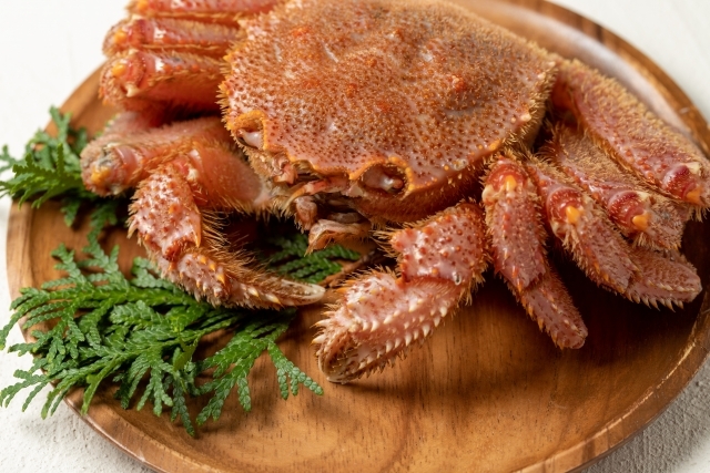 【北海道産】訳アリ毛蟹2尾セット(計約868g) ◆ボイル冷凍◆1月まで保存可能◆旬 蟹味噌 正月 元日拍卖