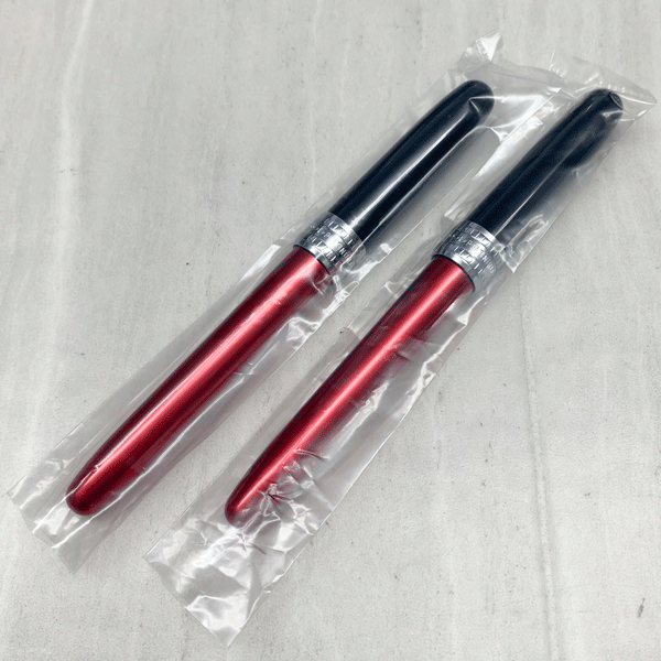 【未使用・長期在庫処分品】 PLATINUM/プラチナ万年筆 万年筆 プレジール 2本セット 細字(0.3) インク付き拍卖