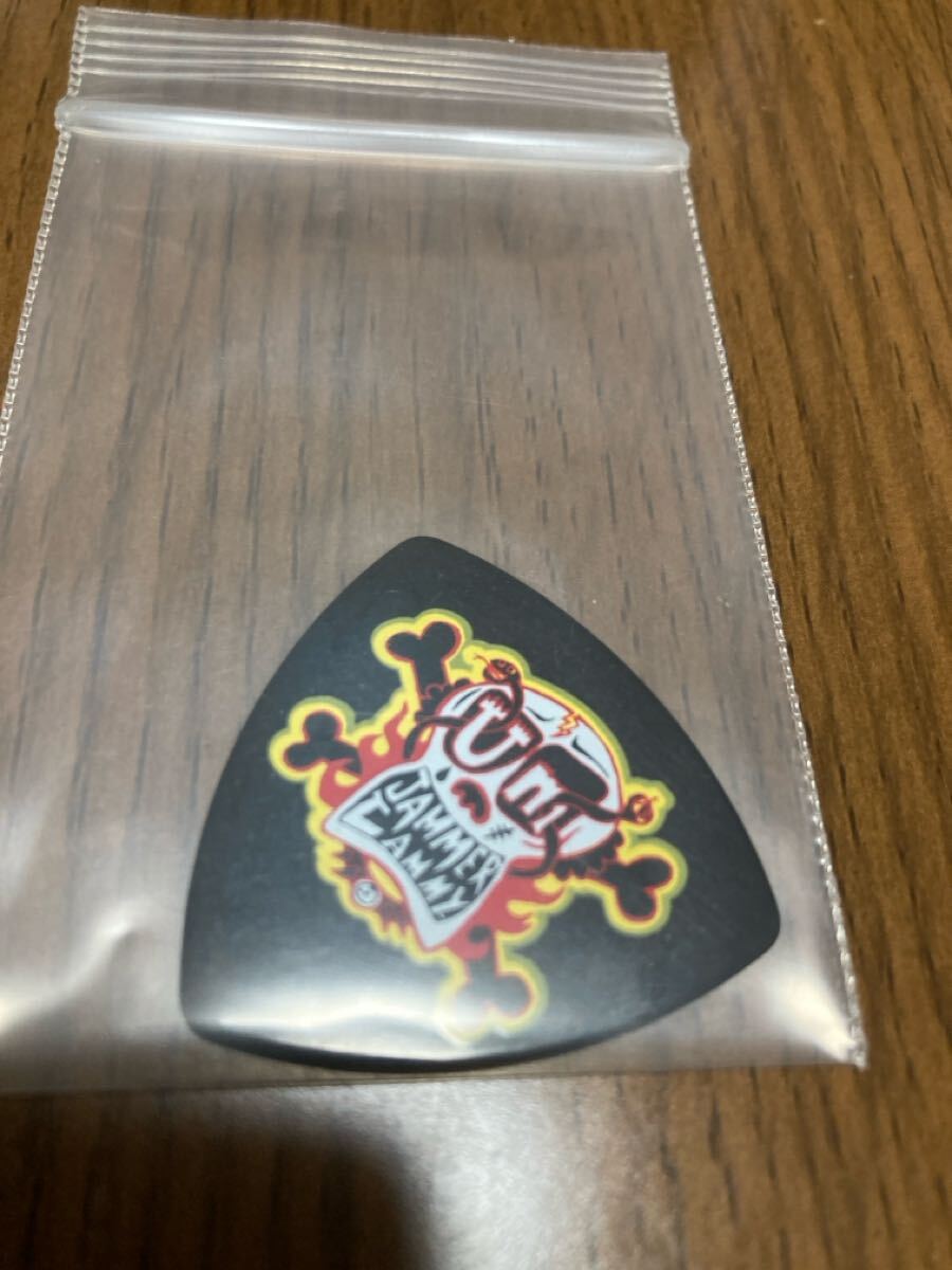 ウンジャマラミー フェルナンデス ギターピック未使用拍卖