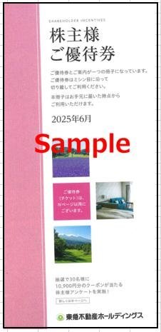 ◆01-01◆【5枚綴り/100株】東急不動産 株主優待冊子 1冊-C◆拍卖