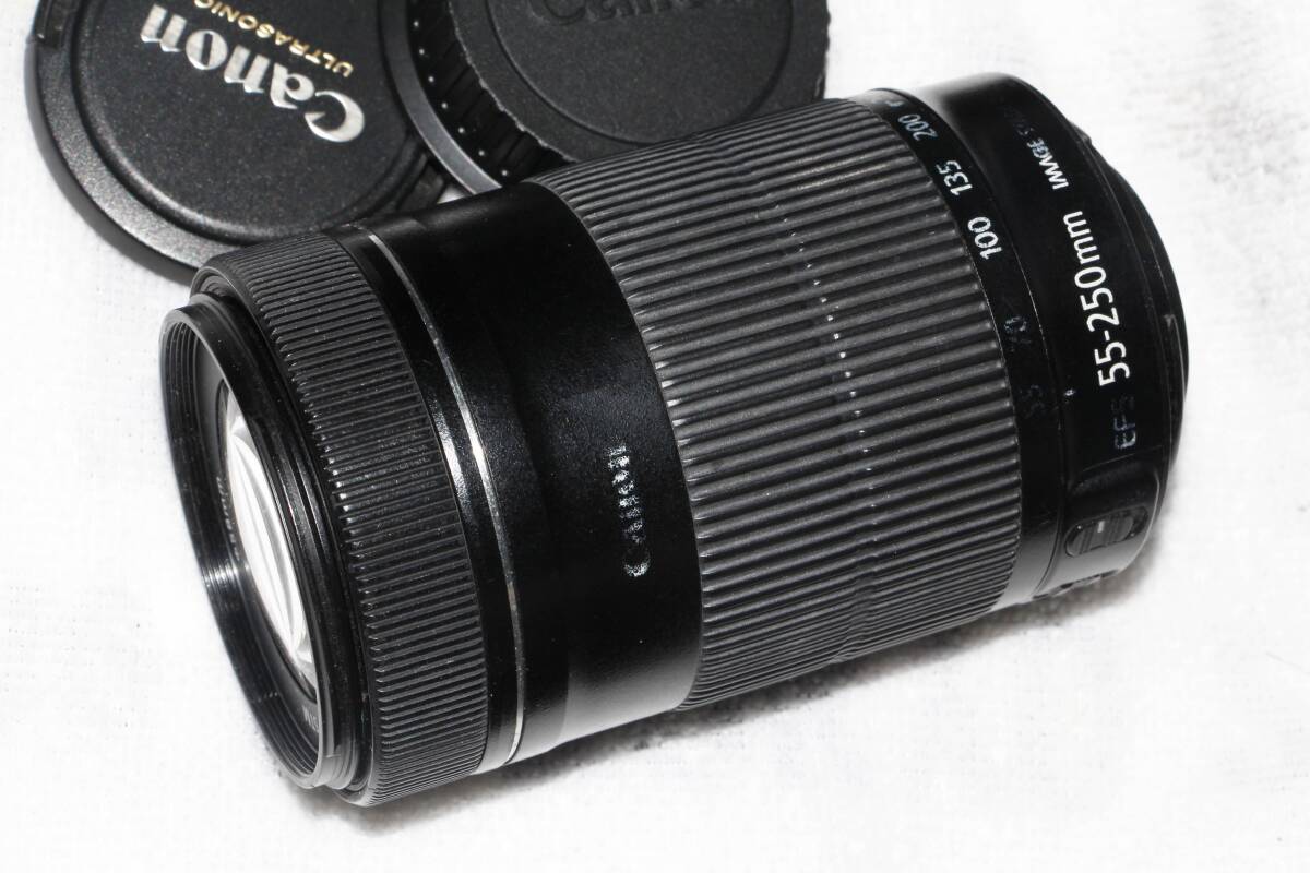 キヤノン CANON EF-S 55-250mm F4-5.6 IS STM拍卖