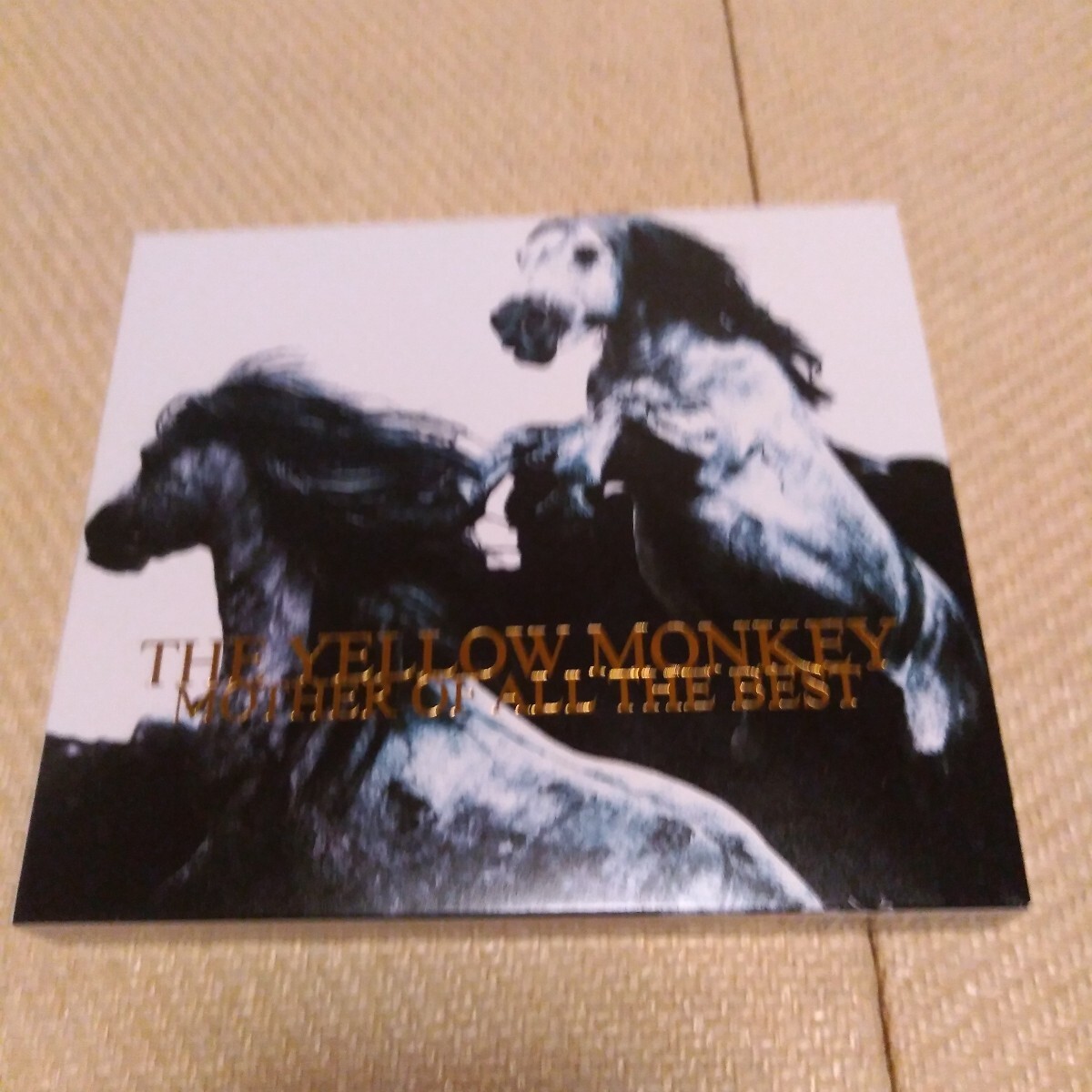THE YELLOW MONKEY/THE YELLOW MONKEY MOTHER OF ALL THE BEST 2CD ベスト アルバム イエモン ザ・イエロー・モンキー 吉井和哉拍卖