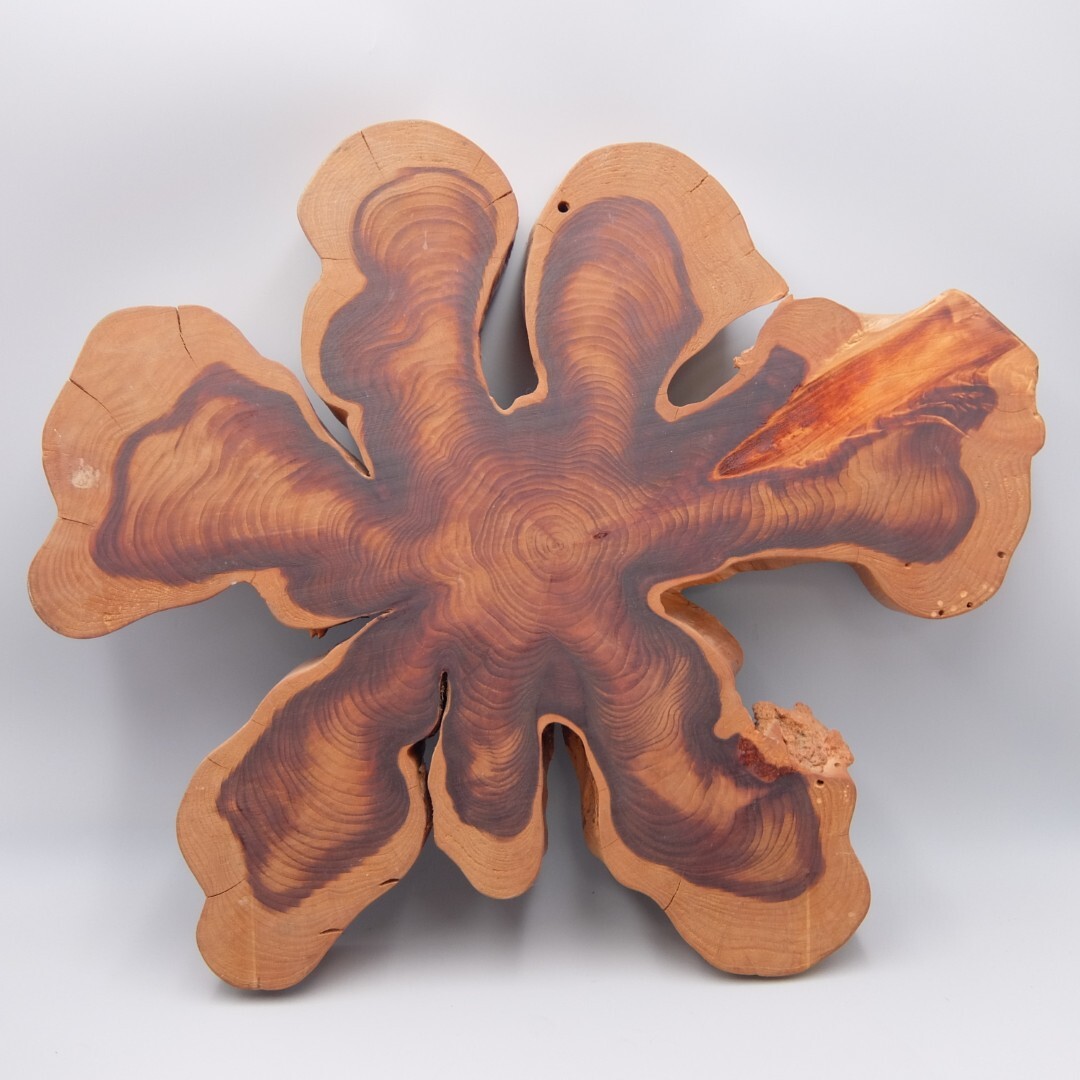 銘木 花台 飾り台 敷板 一枚板 輪切り 無垢木材 大きさ 56cm×49cm 厚さ6cm 重さ4.6kg拍卖