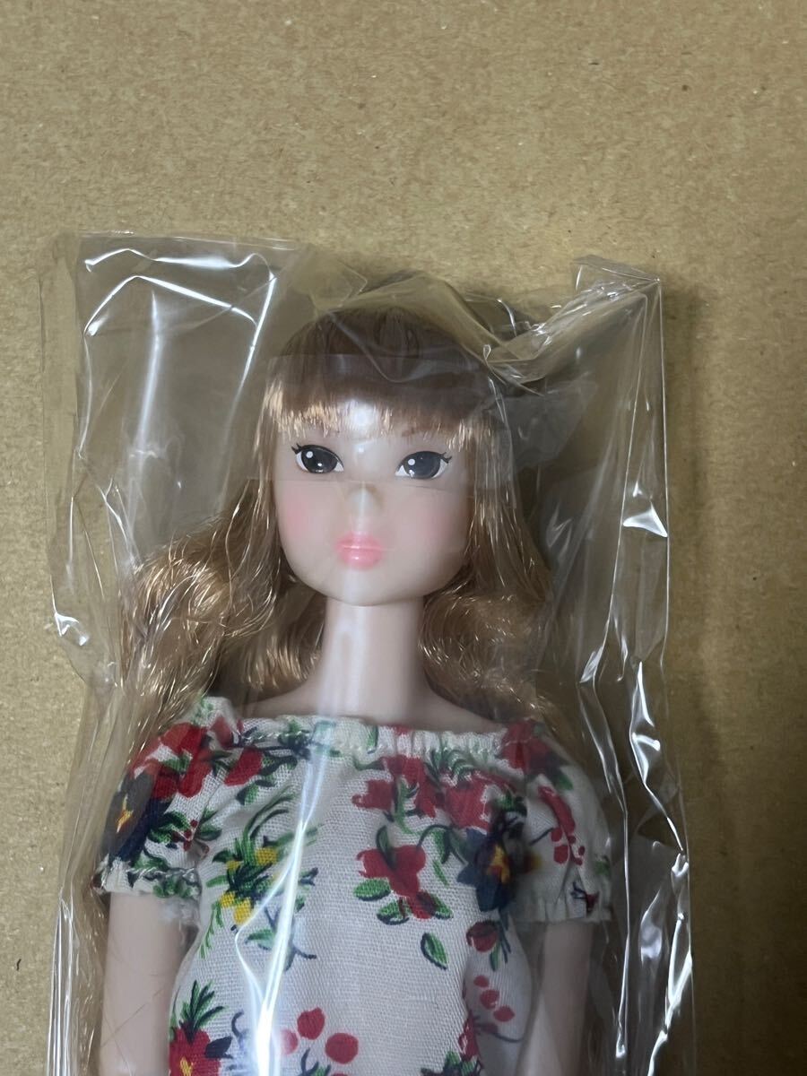 新品未開封 Today’s momoko 2009 PetWORKs momokodoll モモコドール doll拍卖