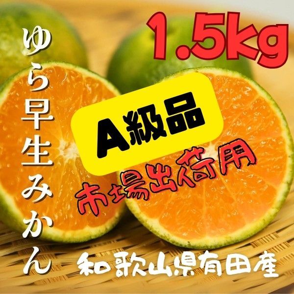 ■送料無料■【老舗農家直送】【評価見て!】和歌山県有田産《今だけ!【A級品】ゆら早生有田みかん》1.5kg★コスパ良い!★ミカン01拍卖