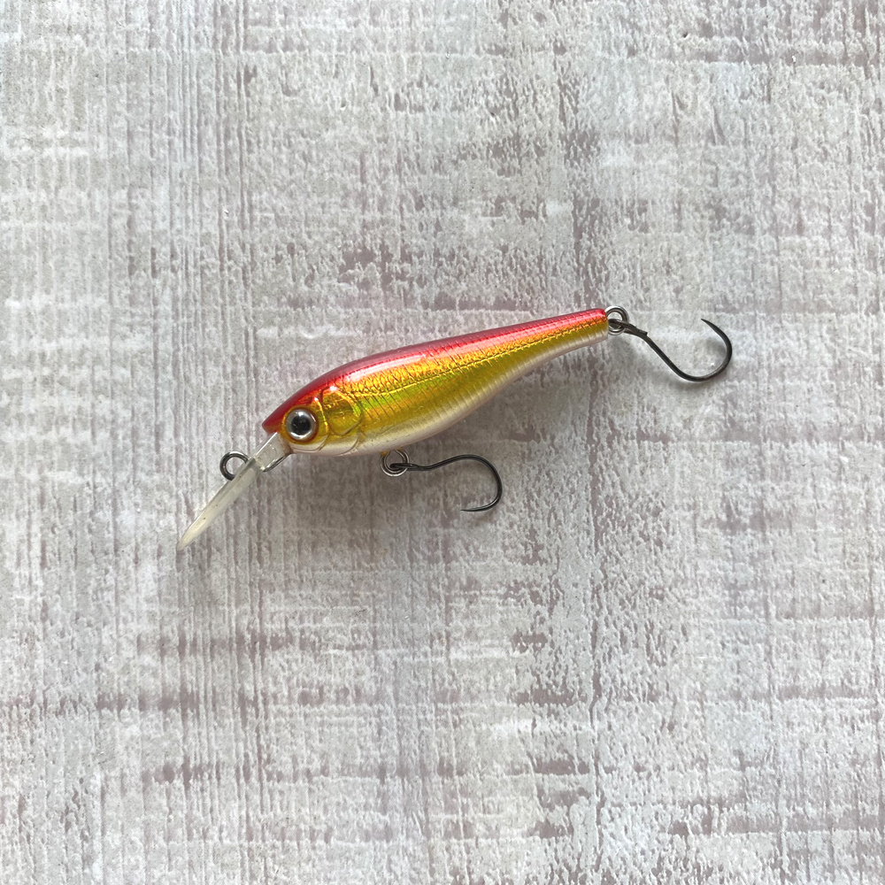 スカジットデザインズ ダイビングビートル40SP 金赤 SKAGIT DESIGNS Diving Beetle SP 40拍卖