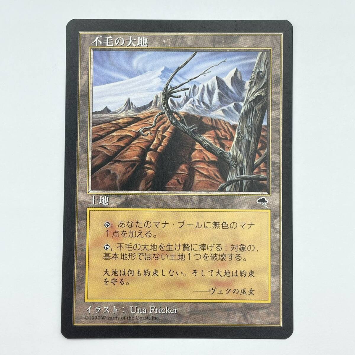 25柏/A030554-52/SR0/K113-418/【幕張】トレカ MTG マジックザギャザリング MAGIC The Gathering 不毛の大地 日本語拍卖