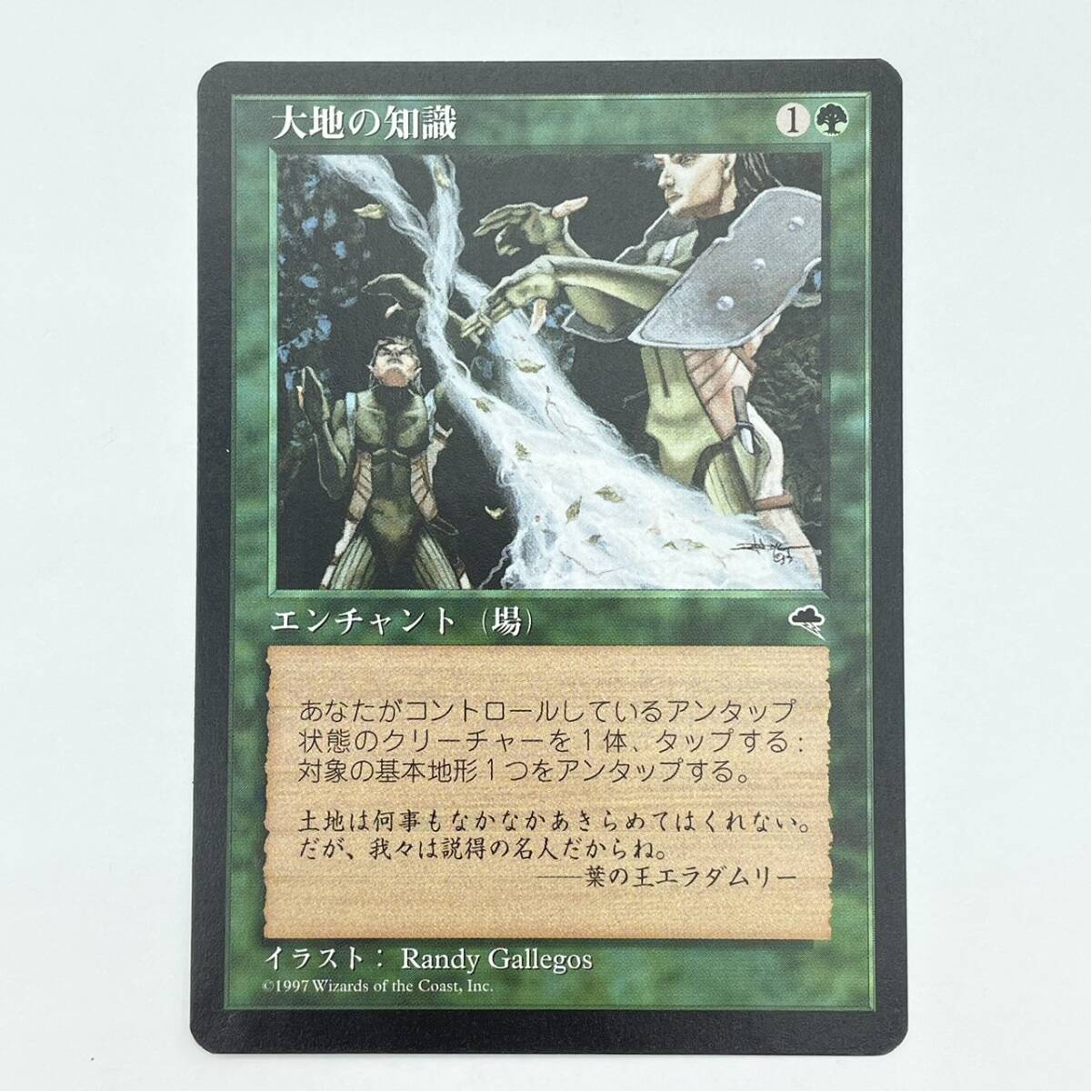 25柏/A030554-31/SR0/K113-441/【幕張】トレカ MTG マジックザギャザリング Magic: The Gathering 大地の知識 日本語拍卖