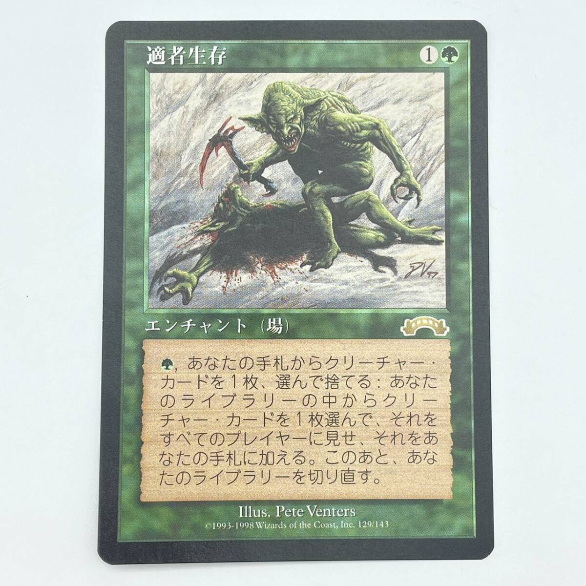 25柏/A030554-28/SR0/K113-446/【幕張】トレカ MTG マジックザギャザリング Magic: The Gathering 適者生存 日本語拍卖