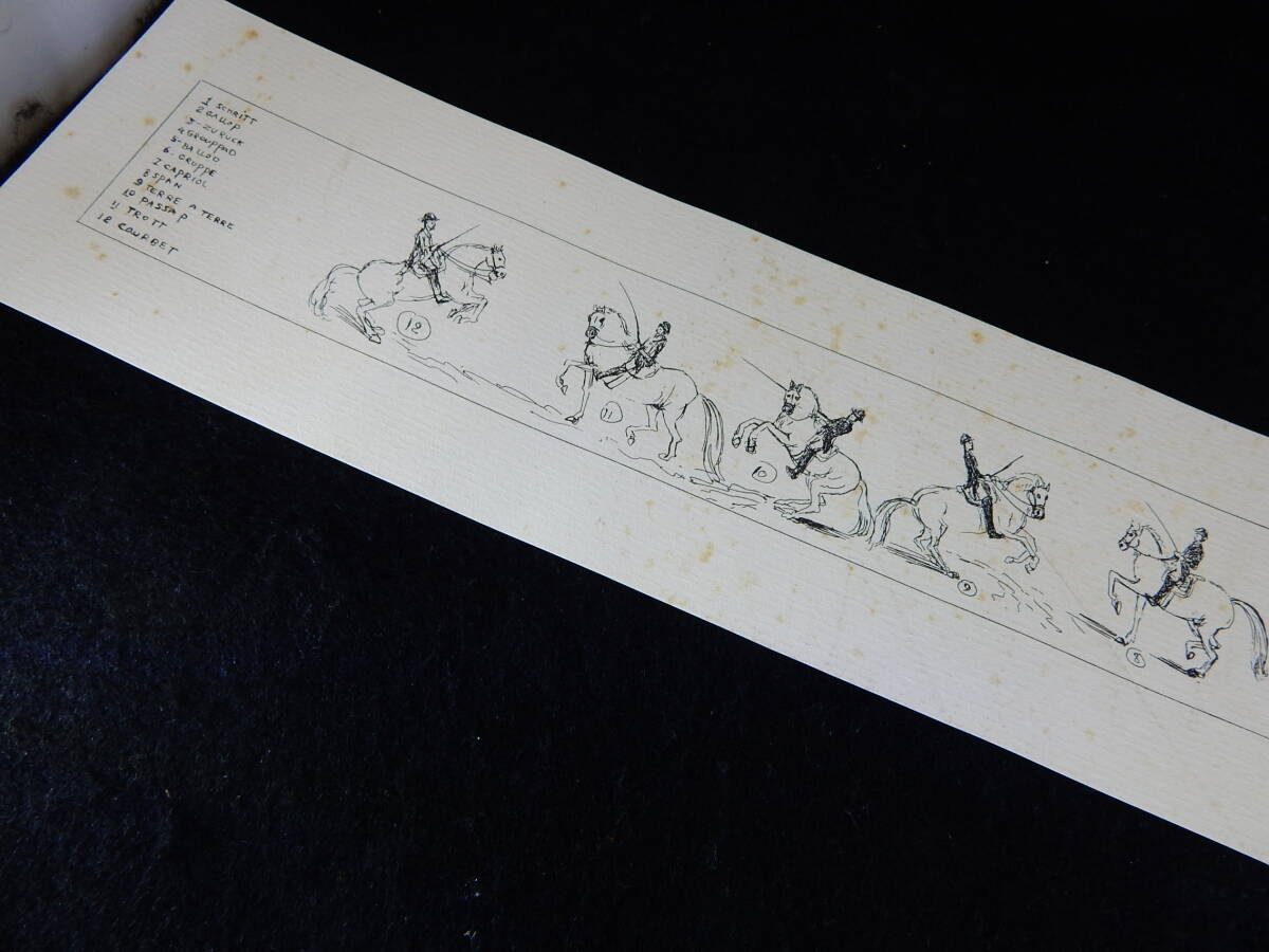 【73348】西洋 馬術 ヨーロッパ サイン入り 展開図?拍卖