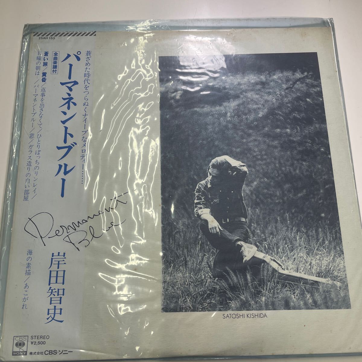パーマネントブルー 岸田智史 レコード 現状品拍卖