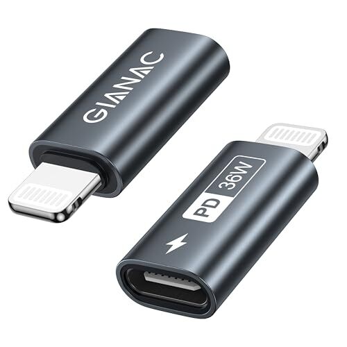 グレー GIANAC USB C - ライトニングアダプタ 36W (2個セット), typec lightning 変換 36W拍卖