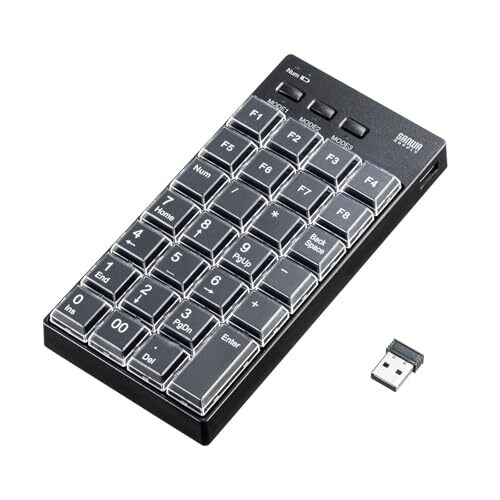 ワイヤレス サンワサプライ プログラマブルテンキー(2.4Gモデル) NT-WL26BK拍卖