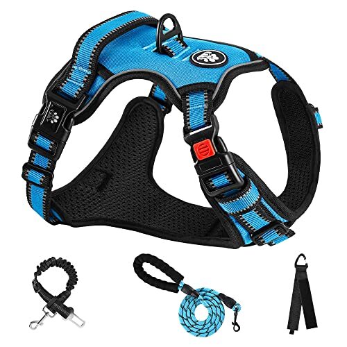 ブルー M NESTROAD 犬 ハーネス 犬用胴輪 リードセット 小型犬/中型犬/大型犬 着脱簡単 調節可能 夜間反射 通気性 拍卖