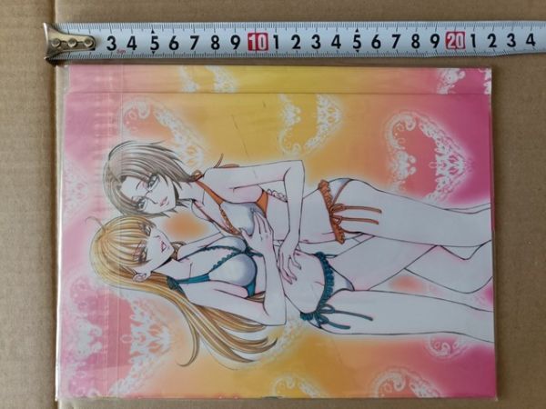 .蔵王大志 影木栄貴 百合姫コミックス 春夏秋冬 特別付録 着せ替えカバー(本体無し)拍卖
