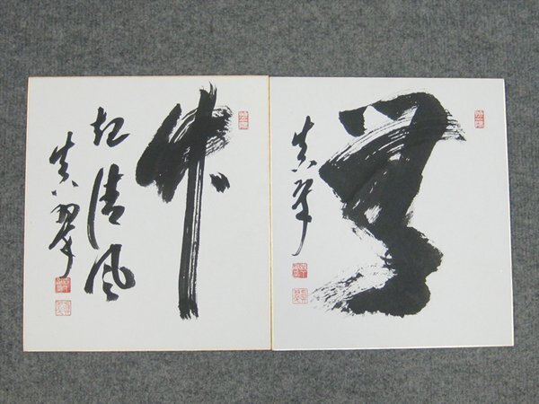 【心庵】色紙 森下真翠 皇風煎茶禮式家元 書/肉筆 2点 B391拍卖