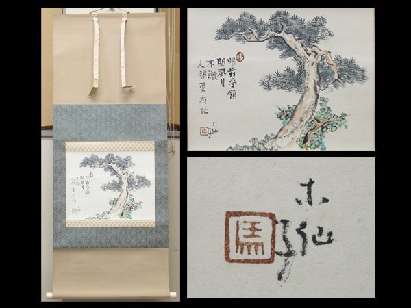 【心庵】掛軸 須賀木仙 紙本 松図/肉筆 付箱 真作 富山県 B732拍卖