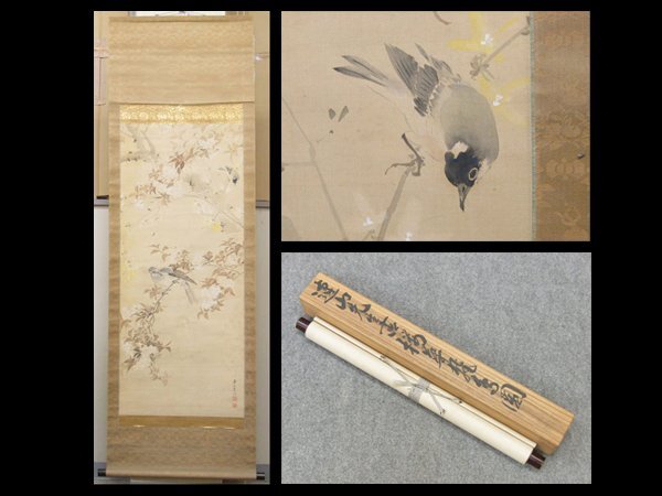 【心庵】掛軸 岸連山 絹本 桜鳥図/肉筆 極箱 真作 師:岸駒 B559拍卖