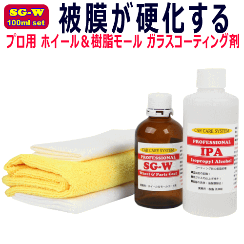 プロ用 ホイールコーティング剤 100ml セット ホイール & 樹脂 モール 硬化型 ガラスコーティング SG-W アルミ ホイール モールコーティン拍卖