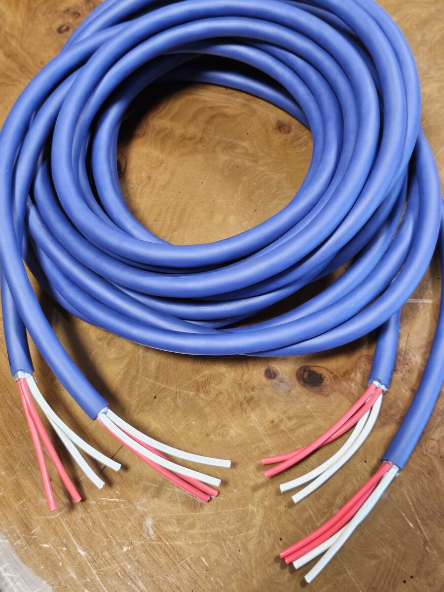 ■■ 激安 AET EVOLUTION 1304 ULTRA PERFORMANCE AC/SP スピーカーケーブル 約5.0m(2本1組) 美品  ■■拍卖