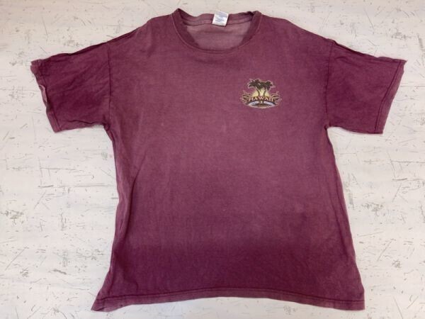 ハワイ HAWAII スーベニア お土産 ご当地 アメカジ オールド レトロ 古着 90s 半袖Tシャツ カットソー メンズ L 紫拍卖