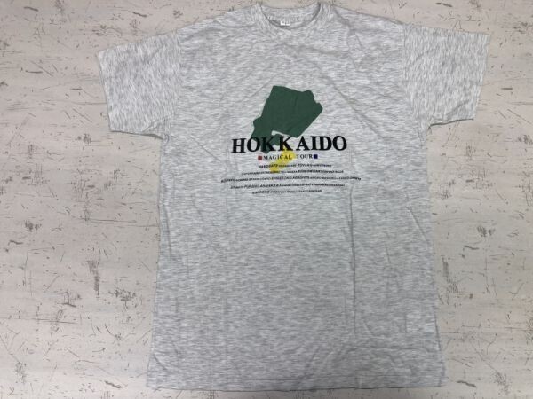 北海道 HOKKAIDO スーベニア お土産 旅行 オールド レトロ 80s 90s 古着 霜降り 杢 メランジ 半袖Tシャツ カットソー メンズ M グレー拍卖