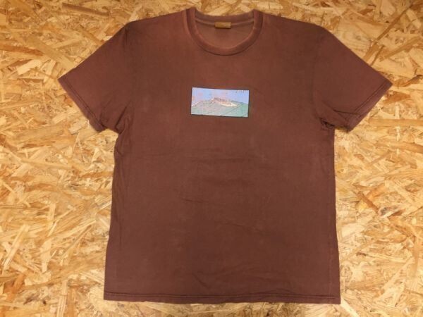 BYKD ターチー TAHCHEE 半袖Tシャツ メンズ サーフィン イラスト ボックス BOXプリント OLD オールド 波 太陽 カモメ L 茶色拍卖