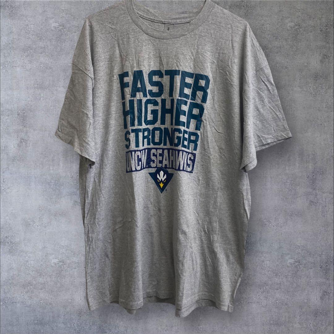 GILDAN ギルダン 半袖Tシャツ グレー XL拍卖