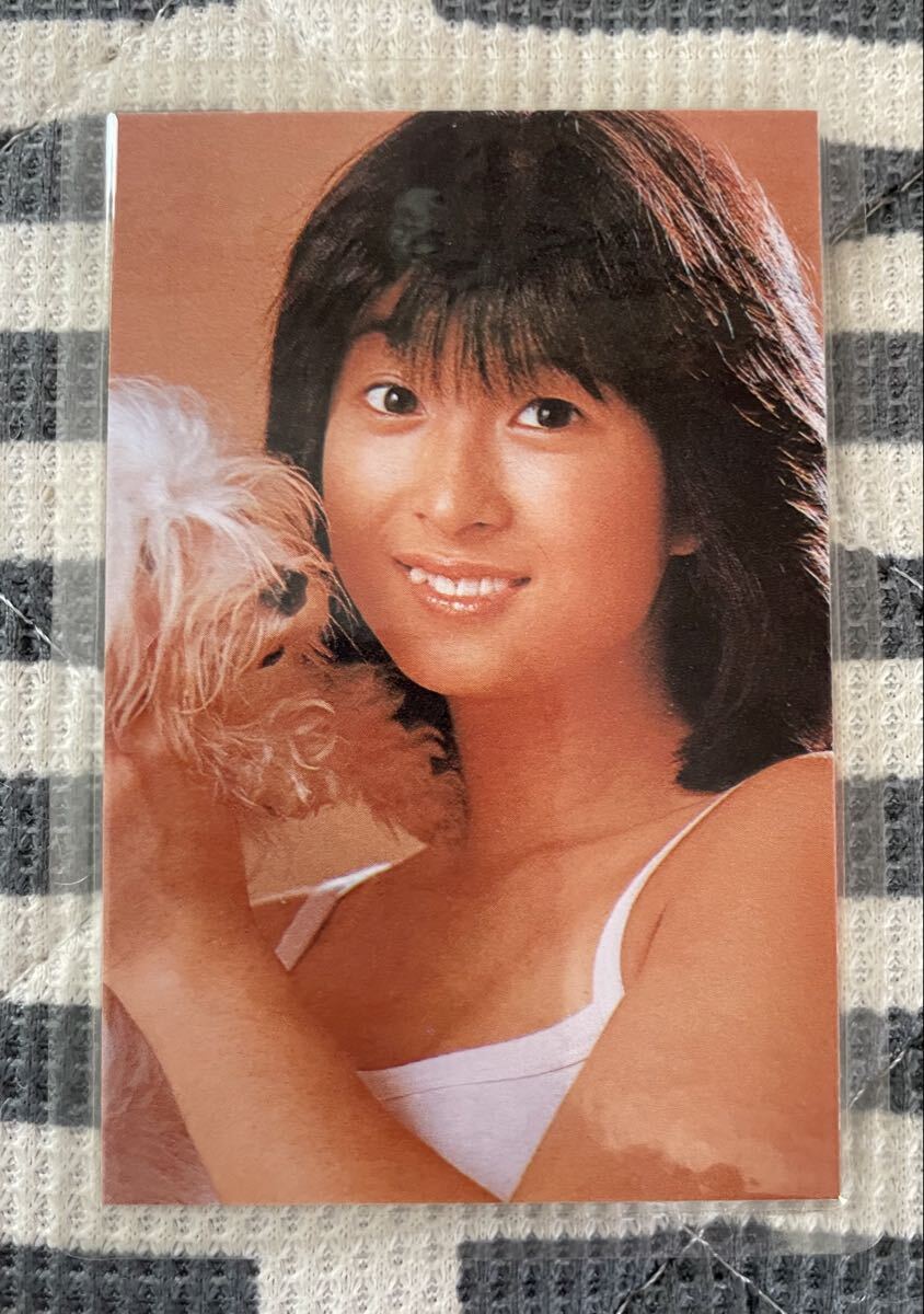 河合奈保子 ラミネートカード 4拍卖