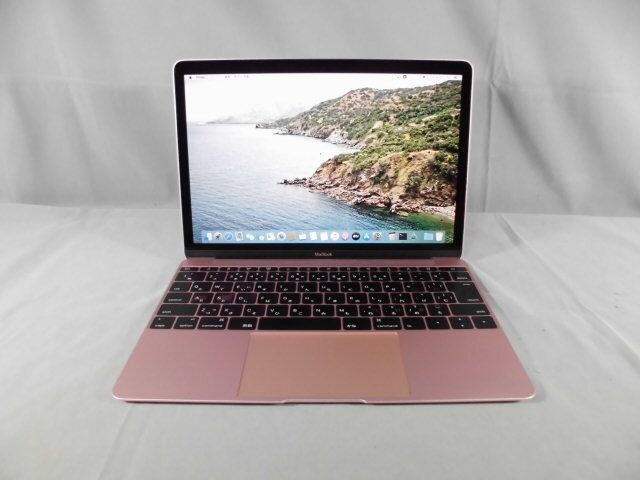 MacBook Early 2016 (Core m3 1.1GHz、8GB、256GB、12インチ)拍卖